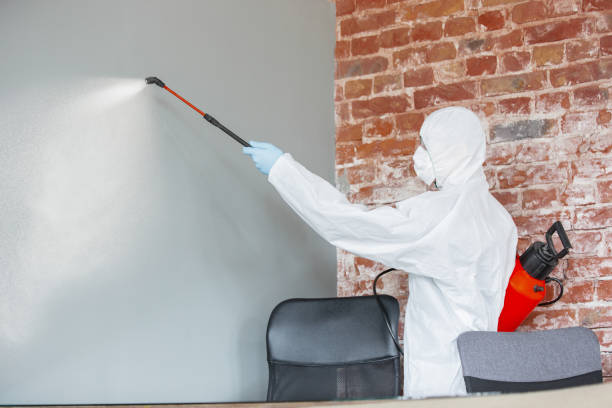 Professional Mold Removal in Ellisburg, NJ