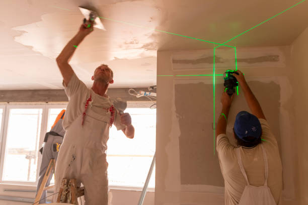 Professional Mold Removal in Ellisburg, NJ