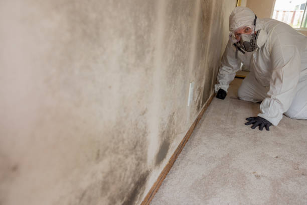 Best Real Estate Mold Inspection  in Ellisburg, NJ