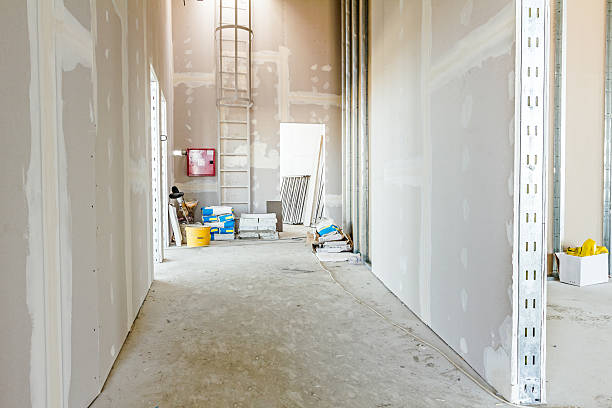 Best Mold Damage Restoration  in Ellisburg, NJ