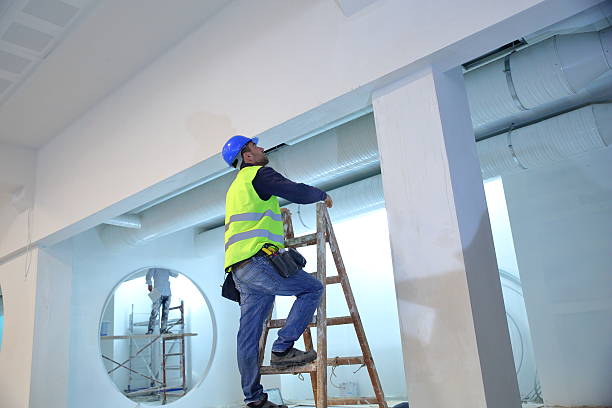 Best Air Quality Testing for Mold Spores  in Ellisburg, NJ