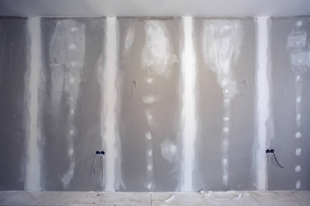  Ellisburg, NJ Mold Removal Pros
